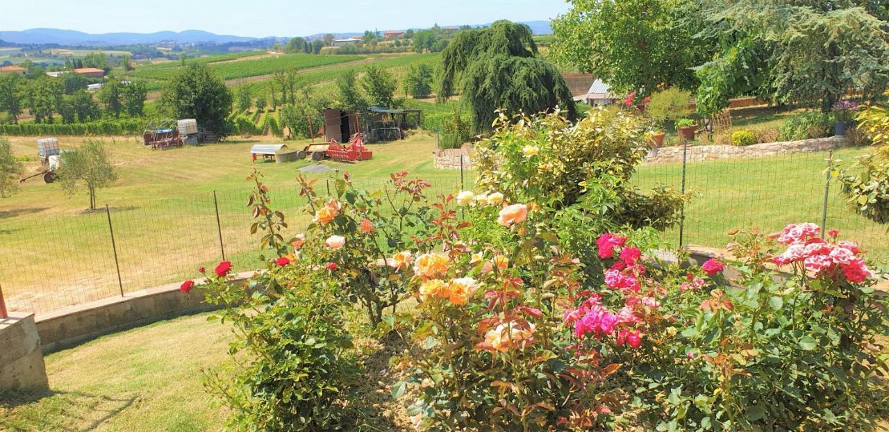 アッバディーア・ディ・モンテプルチャーノ Casina Di Pacinaヴィラ エクステリア 写真